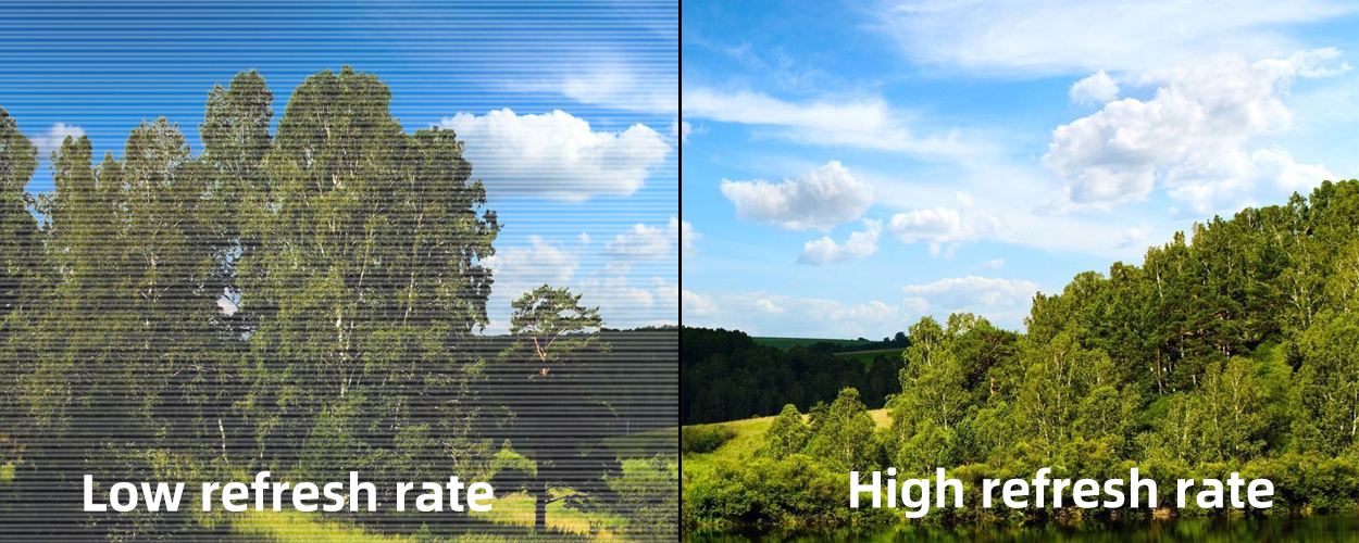 1250x500