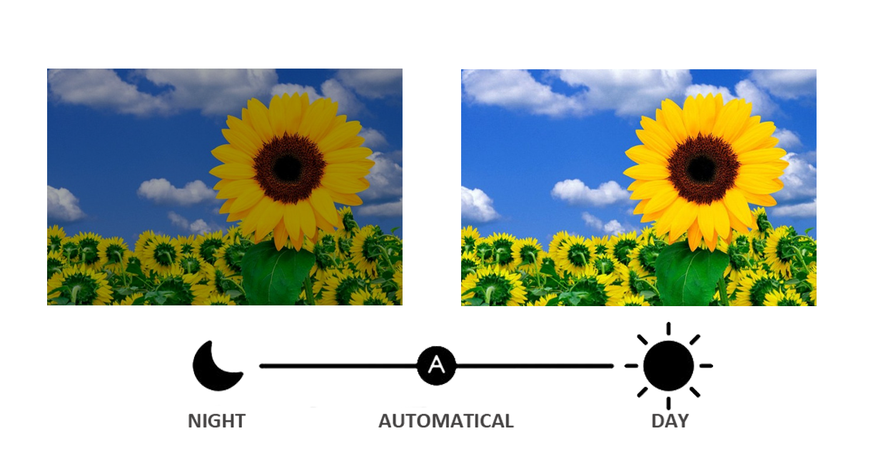 advertising led display